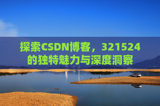探索CSDN博客，321524的独特魅力与深度洞察
